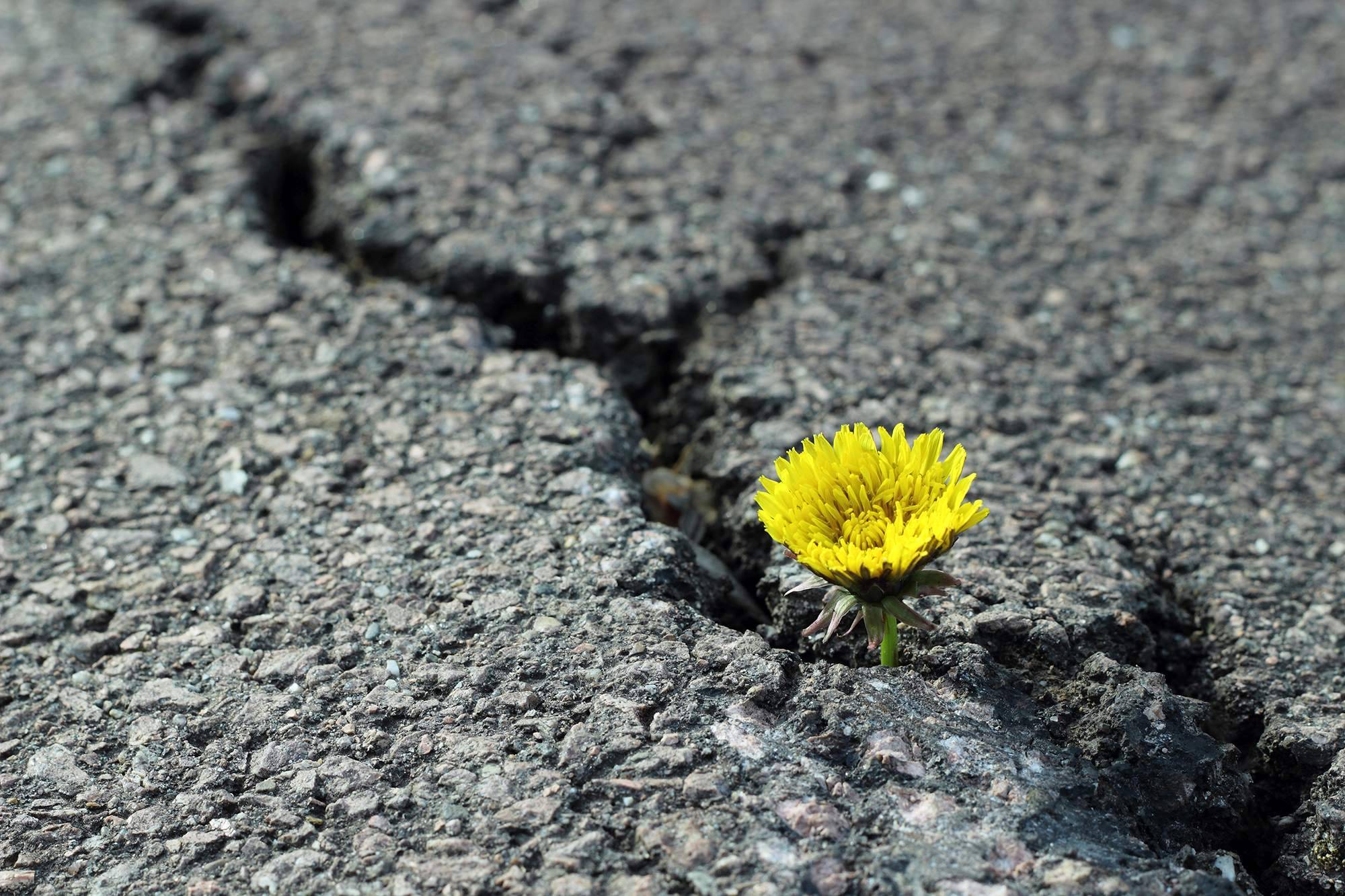 Psychische Erkrankung